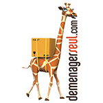 Déménager seul.com